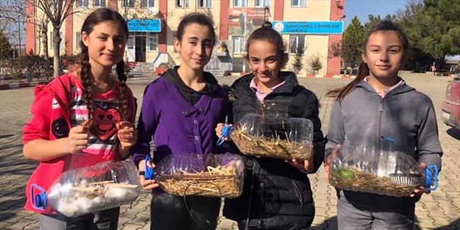 Kuşlar 'merhamet yuvalarında' üşümeyecek