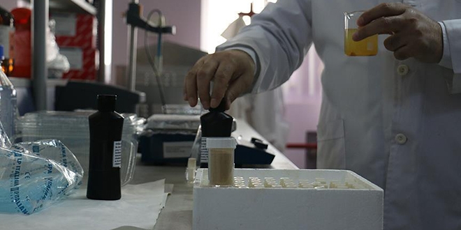 Erzurum'da yerli 'nano-keratin' üretildi