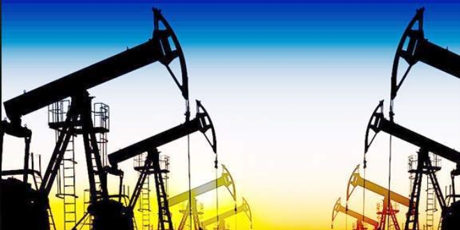 TPAO'dan rekor retim