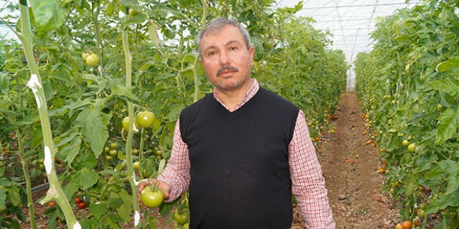 Halci ve üretici yüksek maliyet ve vergilerden yakındı