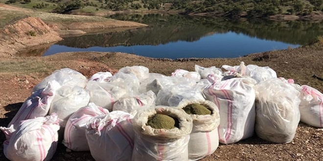 Bir günde 7 ton esrar ele geçirildi