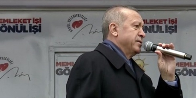 Erdoğan'dan polisin kolunu ısıran HDP'li vekile sert tepki