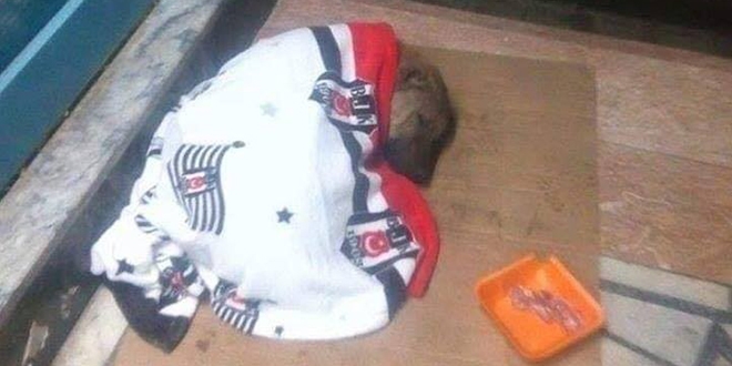 Öğretmenden örnek davranış