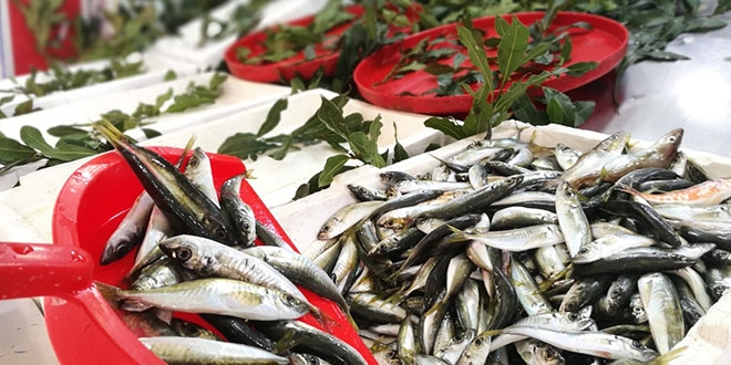 Balıkçıların tezgahları boş kaldı, dükkanlar kapandı
