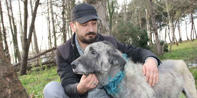 Boğazından yaralanan köpeğe vatandaş sahip çıktı