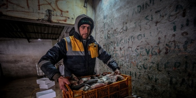 Manyas'tan kyor kilosu 1 lira 30 kurutan satlyor