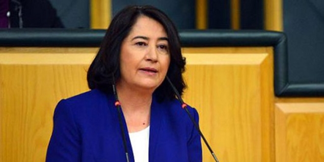 HDP'li Pekgözegü Meclis Başkanı adayı oldu