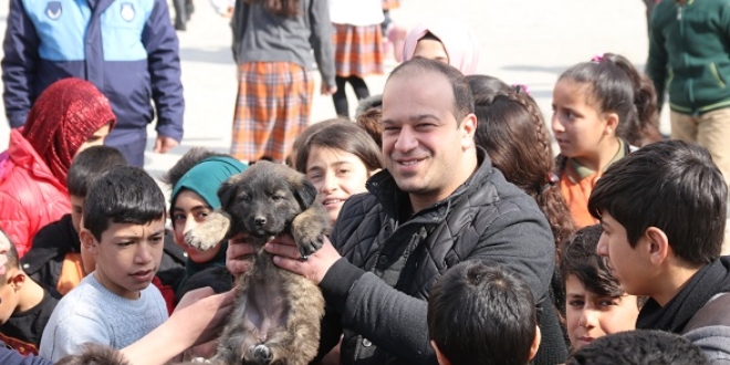 Köpek yavrularına öğrenciler ve öğretmenleri sahip çıktı