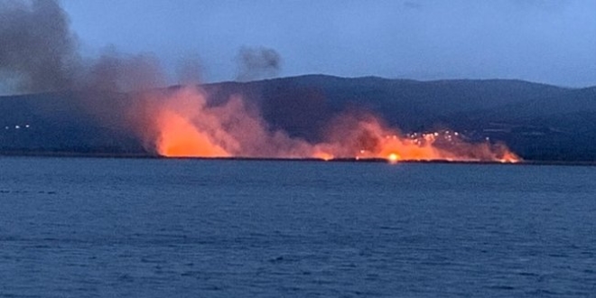 İznik Gölü çevresindeki sazlık alanda yangın çıktı