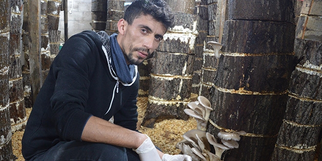 Gen giriimcinin mantar sevdas