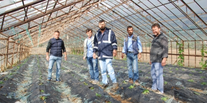 Mersin'de şiddetli yağış seralara zarar verdi