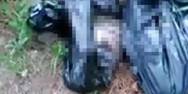 Ormanlık alanda poşetler içinde 6 kedi ölüsü bulundu