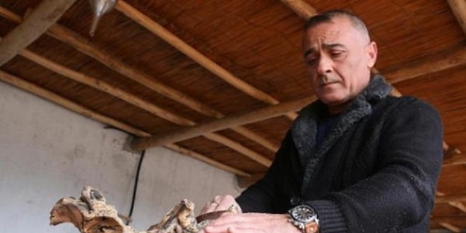 Ağaç dalları ek gelir kapısı oldu