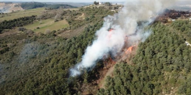 Sultangazi'de orman yangn