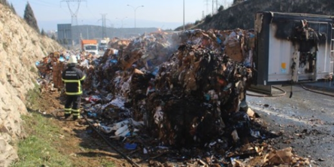 Anadolu Otoyolu'nda TIR yangını