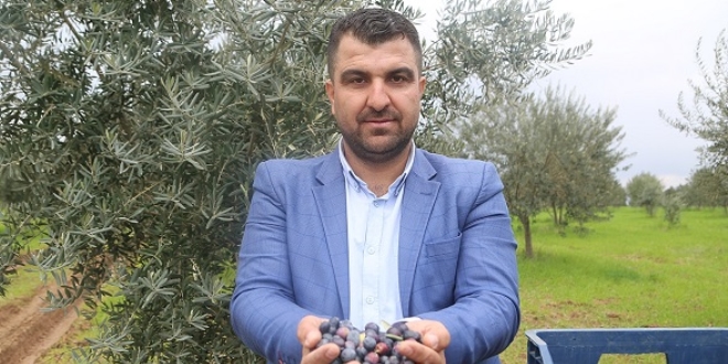Zeytini, kylye rnek, mevsimlik iiye umut oldu