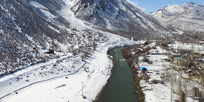 Kutup blgesi deil 'rnak'