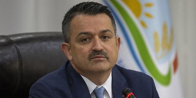 Pakdemirli'den üreticiye alım müjdesi