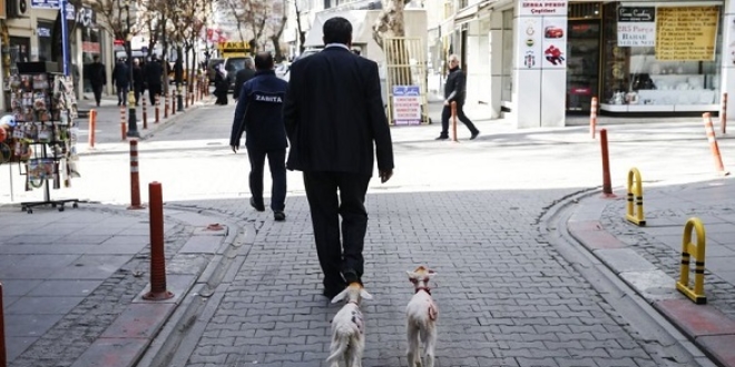 Ercan ve Glcan Ankara'daki mahallenin maskotu oldu