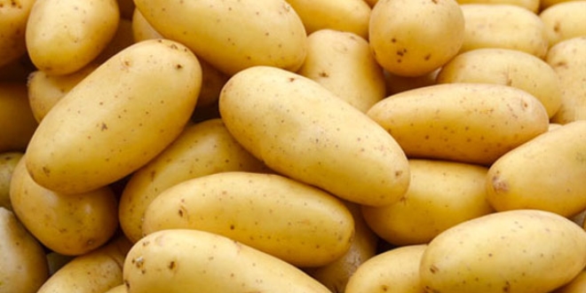 Patates ithalatnda gmrk vergisi sfrland