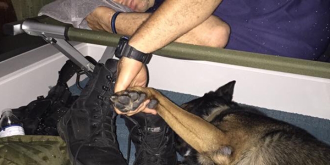 Duyarlı sürücünün çabası yaralı köpeği hayatta tuttu