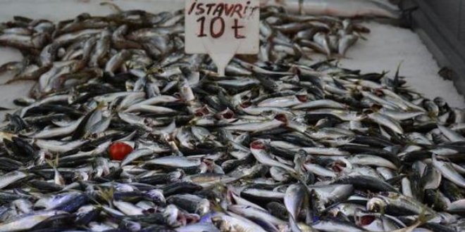 stavritin kilogram 10 liraya geriledi