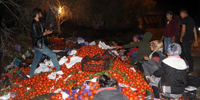 Karayolu domates tarlasna dnd