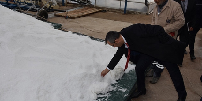 Dnyann en iyi tuzu kyl pazarnda sata sunulacak