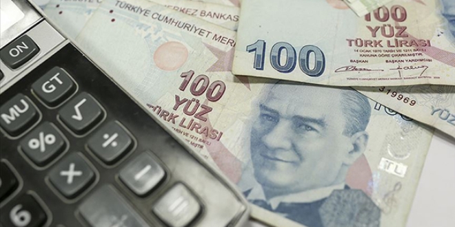 Vergi kaçıranları ihbar edenlere 6,4 milyon liralık ikramiye