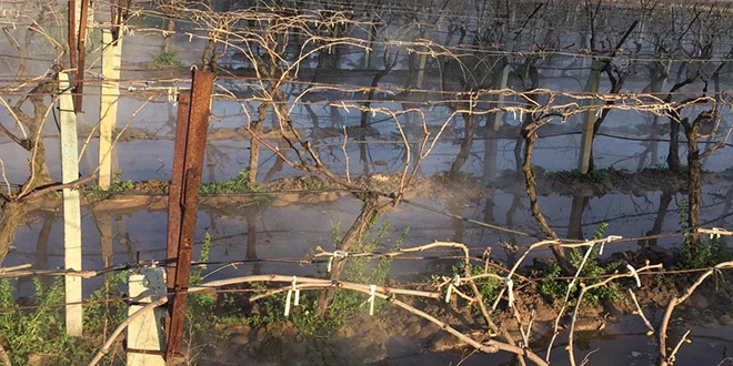 Jeotermal havuzun tamas sonucu ba su bast