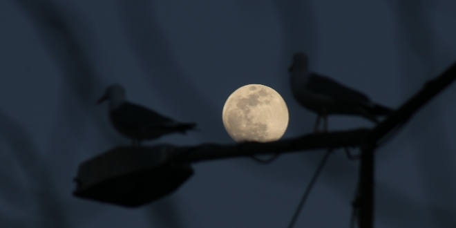 Tekirda'da dolunay renkli grntler oluturdu