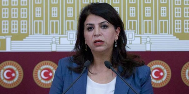 HDP'li Sibel Yiğitalp'e 7 yıla kadar hapis istemi