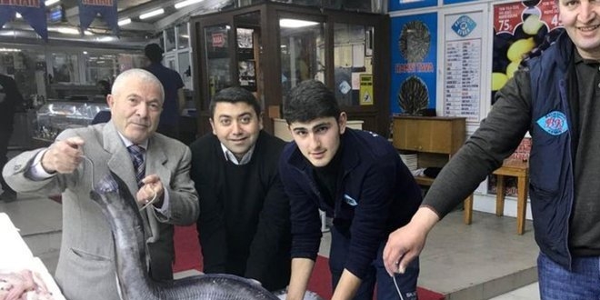 Marmara Denizi'nden 3 metrelik yılan balığı çıktı
