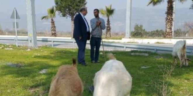 Marmara ve Ege'de her şey ortada
