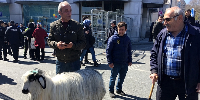 Dev mitinge keisiyle geldi