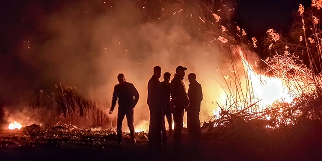 znik'teki sazlk yangnna mdahale sryor