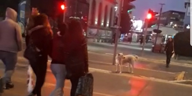 Kırmızı ışıkta insanlar geçti, o bekledi