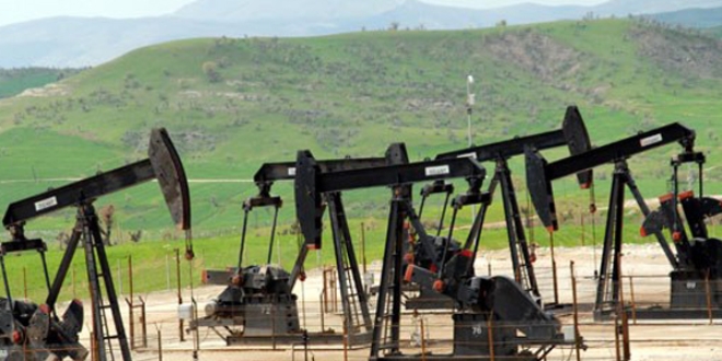Türkiye'den ne kadar petrol çıkıyor?
