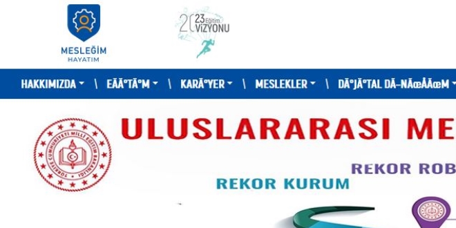 stanbul MEM, 'Mesleim Hayatm' portaln tantt