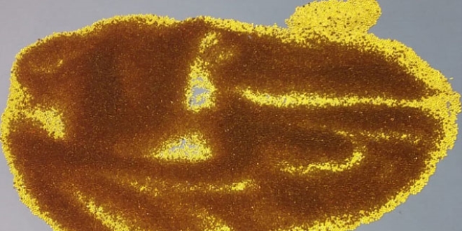 Nide'de 2 Suriyeli, 'kaliforniyum' ile yakaland