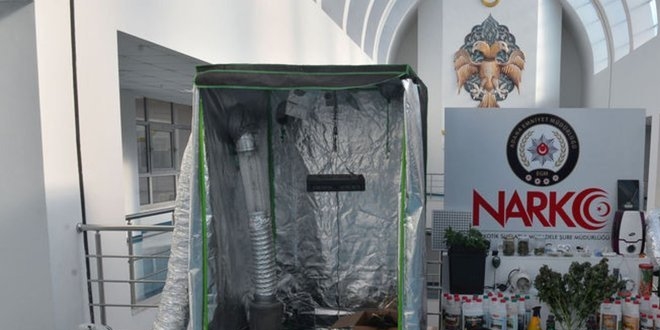 5 dil bilen yazlmc torbac kt