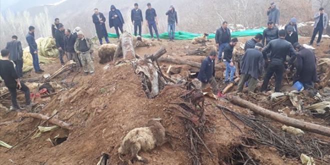 ken ahrda 360 kkba hayvan telef oldu