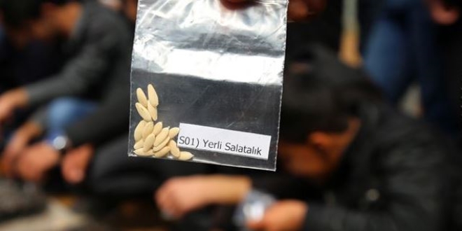 'Ata tohumları' öğrencilerin elinde hayat bulacak