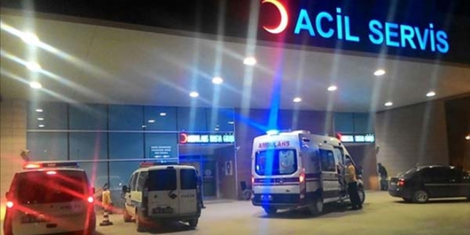 Adana'da hasta tayan ambulans kaza yapt