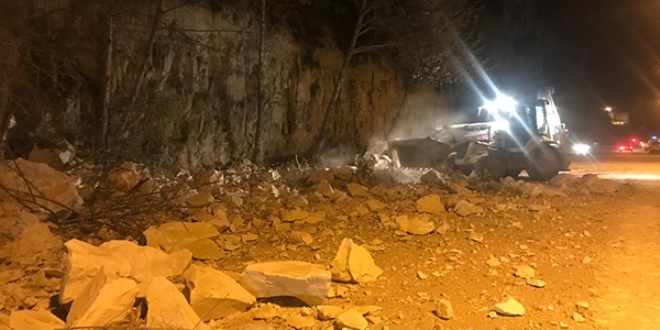 Dadan kopan dev kaya faciaya neden oluyordu