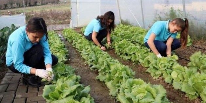 Okul bahçesinde yerli tohumla ürün yetiştirilecek