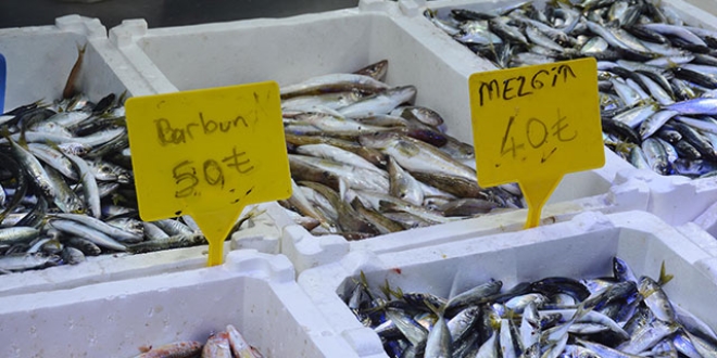 Mezgitin kilosu 40 liraya çıktı