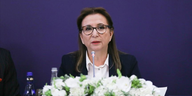 'Önümüzdeki dönem ekonomide tam bir icraat dönemi olacak'