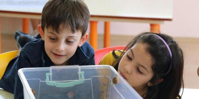 Okulda salyangoz ve slk besliyorlar