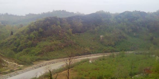 Saanak ya ky gle evirdi